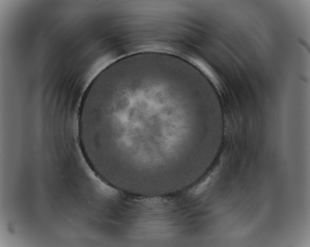 X0000092040999200709121150