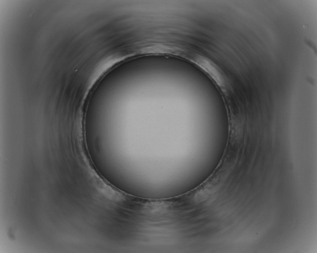 X0000092041000200709121150