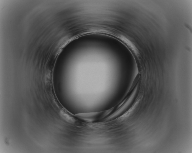 X0000092041001200709121150