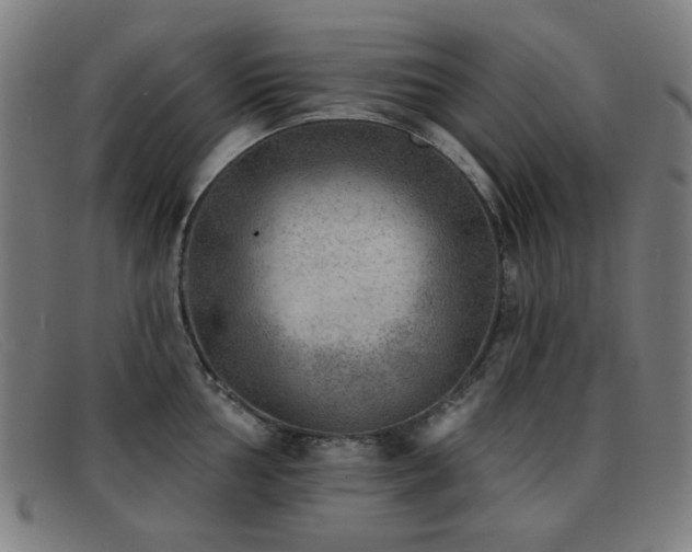 X0000092041002200709121150