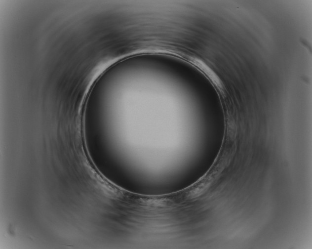 X0000092041004200709121150