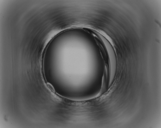 X0000092041005200709121150