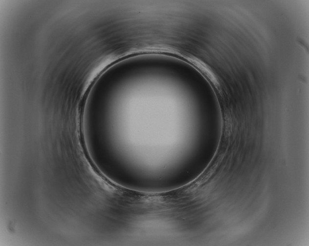 X0000092041006200709121150