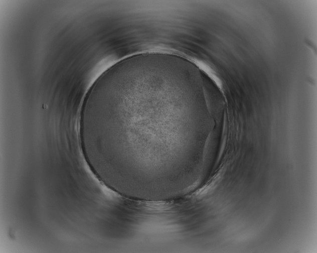 X0000092041007200709121150