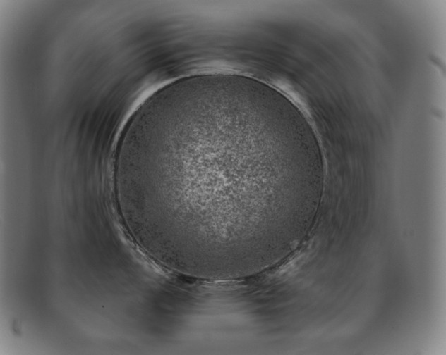 X0000092041008200709121150