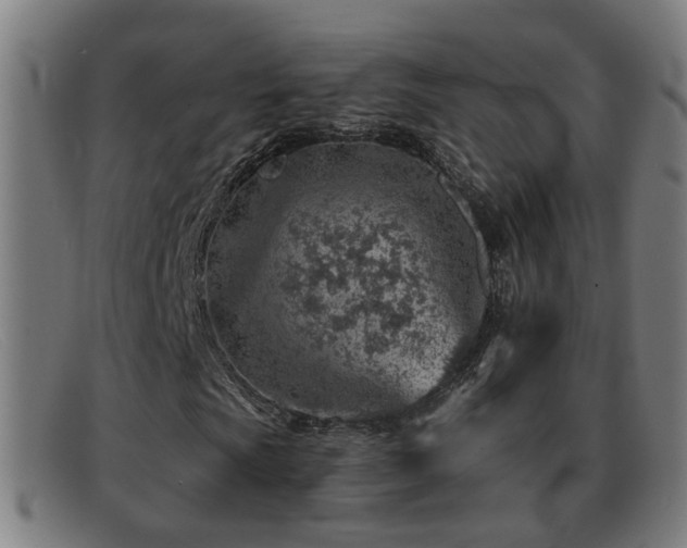 X0000092041009200709121149