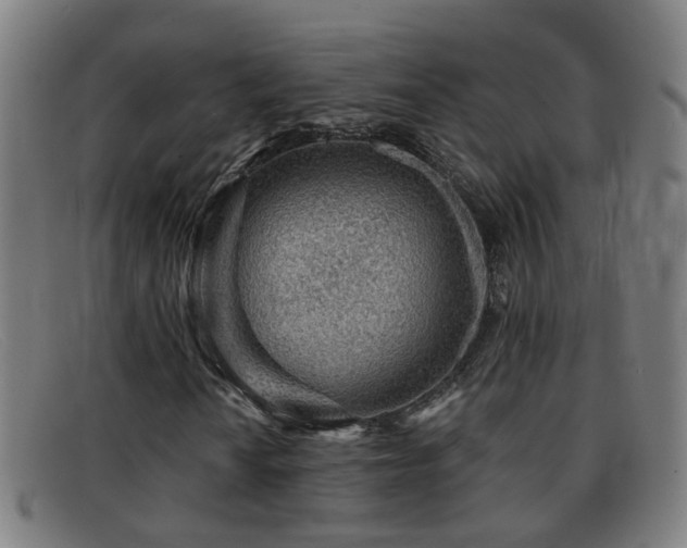 X0000092041010200709121149