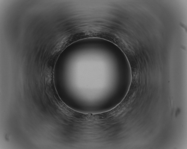 X0000092041012200709121149