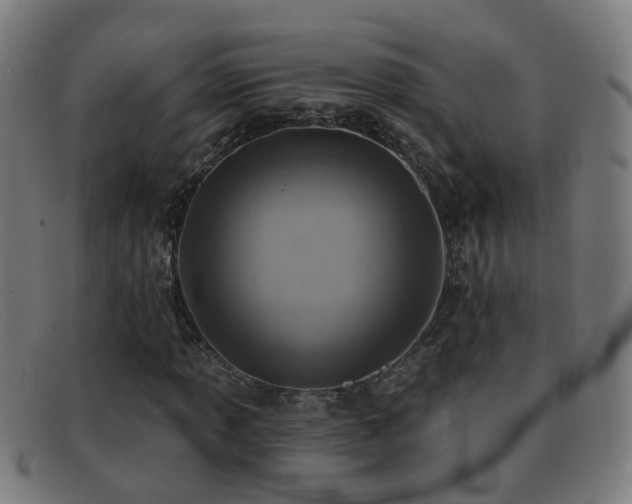 X0000092041013200709121149