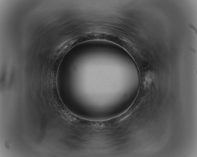 X0000092041014200709121149