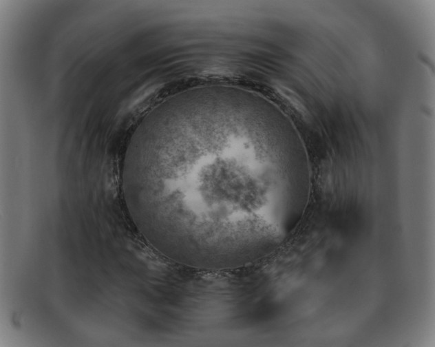 X0000092041015200709121149