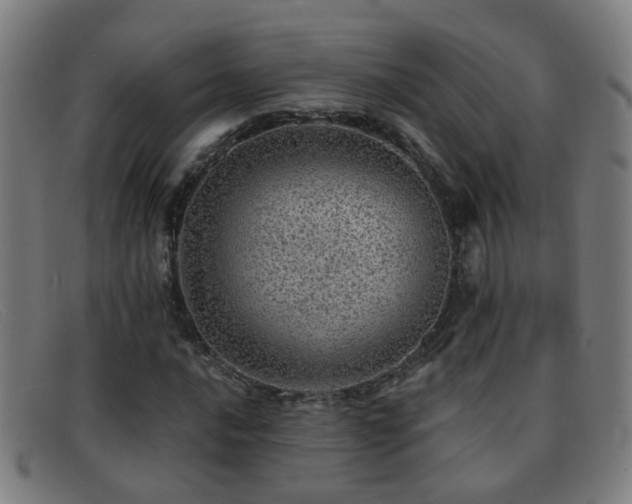 X0000092041016200709121149