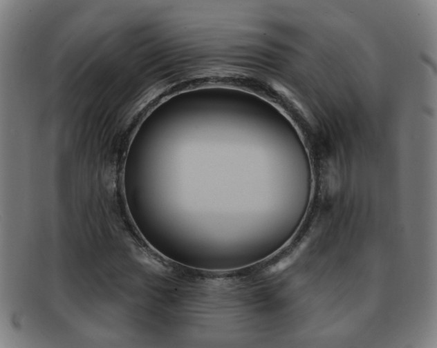 X0000092041017200709121149