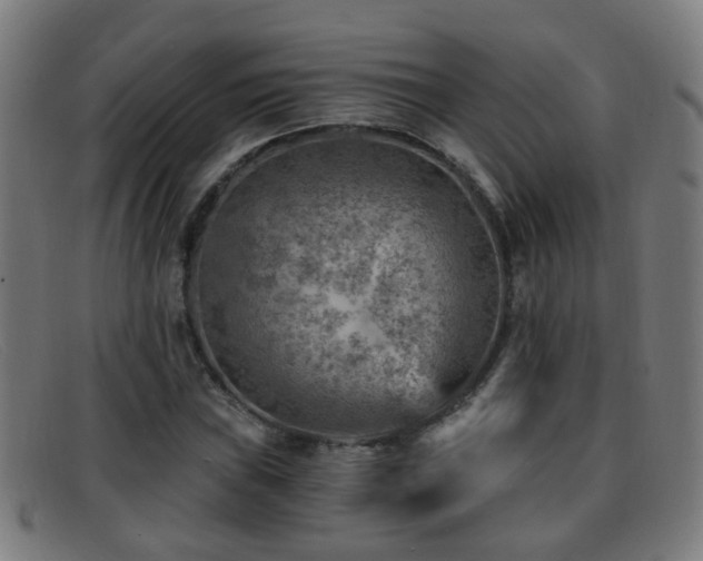 X0000092041019200709121149