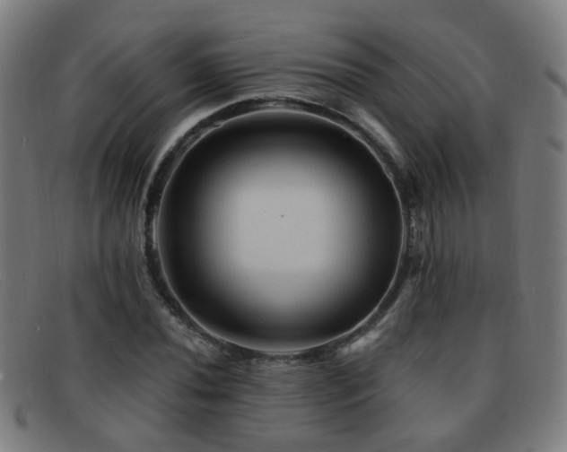 X0000092041020200709121149