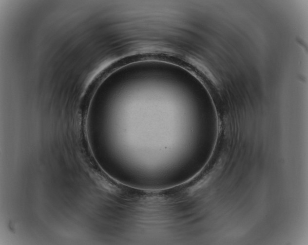 X0000092041021200709121149