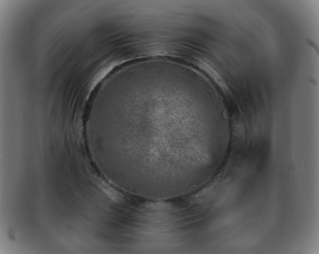 X0000092041023200709121149