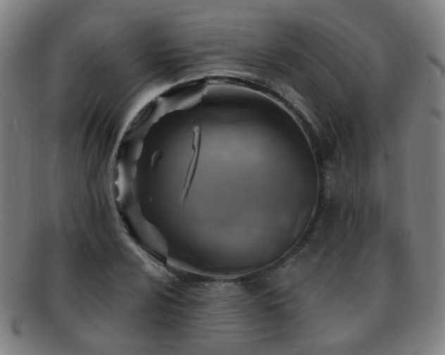 X0000092041024200709121149