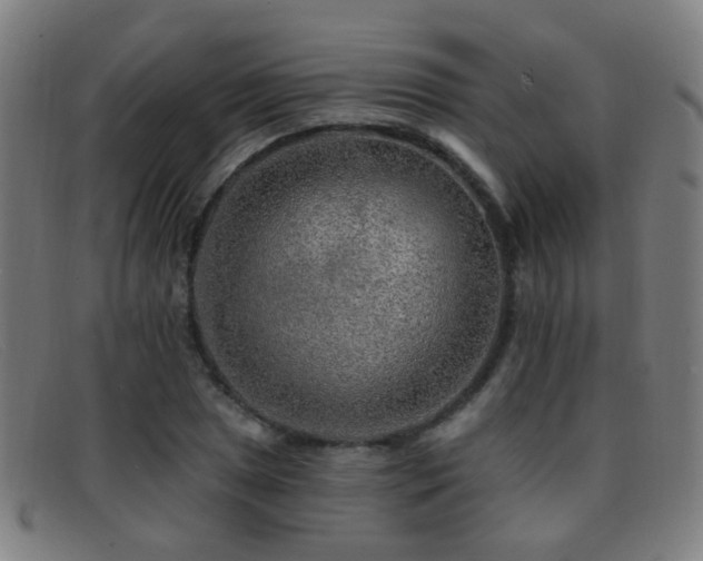 X0000092041025200709121149