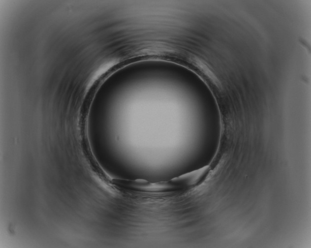 X0000092041026200709121149