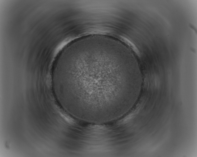 X0000092041027200709121149