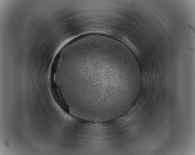 X0000092041028200709121149