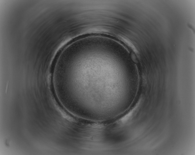 X0000092041029200709121149