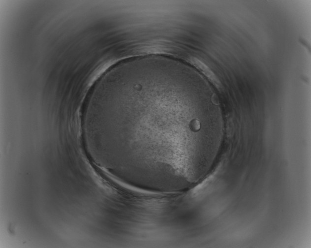 X0000092041031200709121149