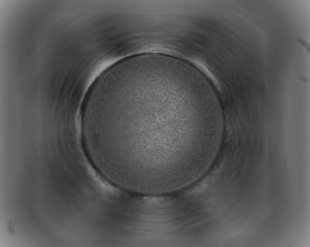 X0000092041032200709121149