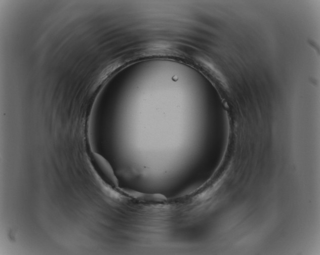 X0000092041033200709121149