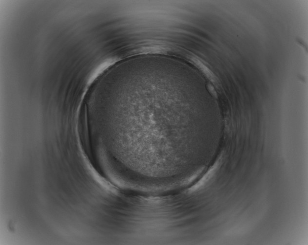 X0000092041034200709121149