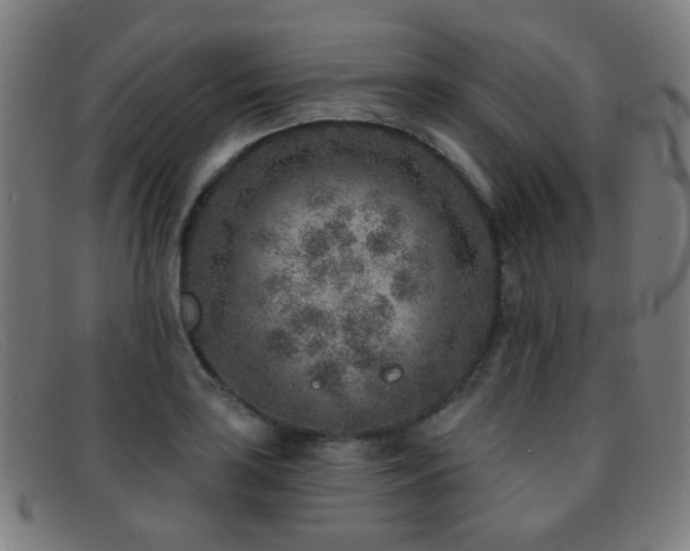 X0000092041035200709121149