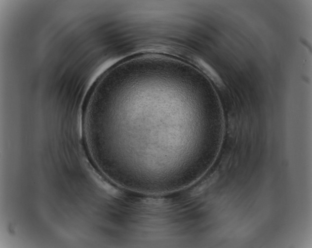 X0000092041036200709121149