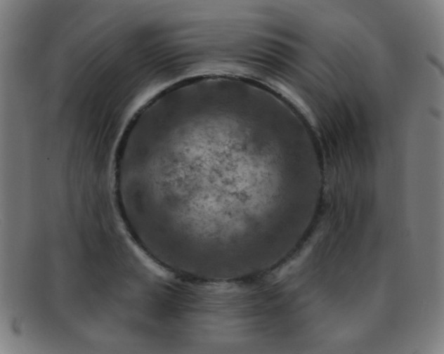 X0000092041037200709121149