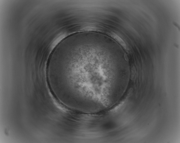 X0000092041039200709121149