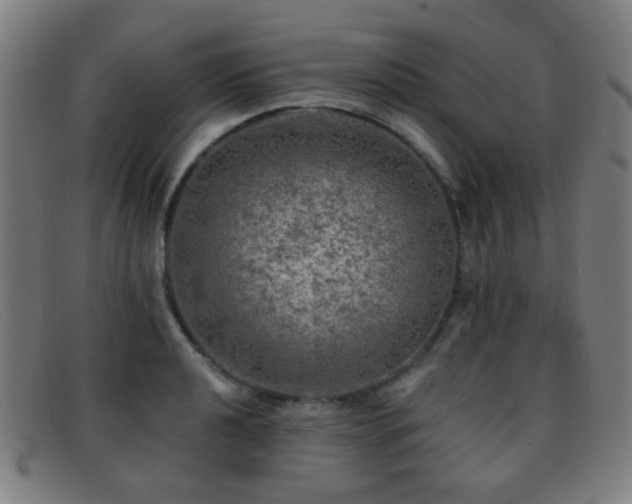 X0000092041040200709121149