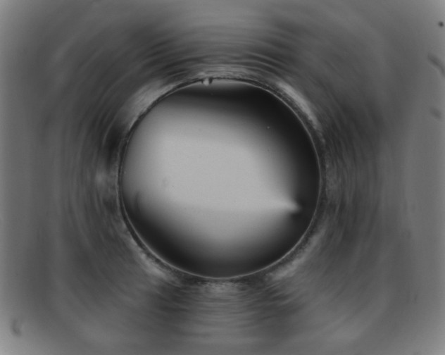 X0000092041041200709121149