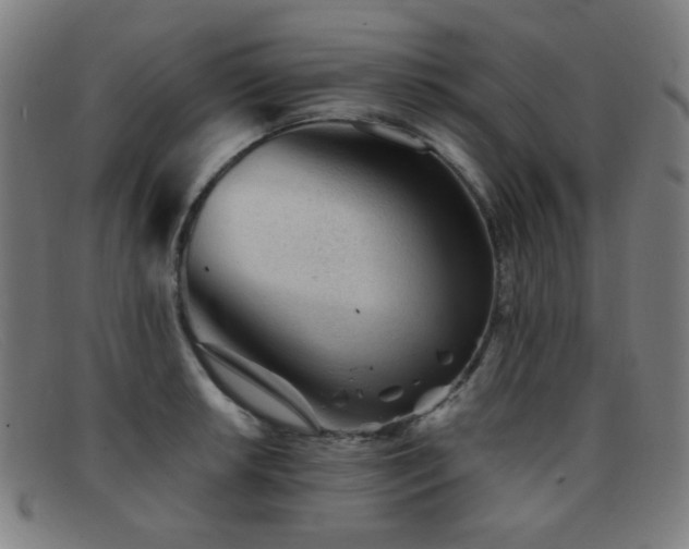 X0000092041042200709121149