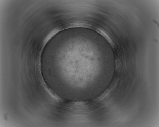 X0000092041043200709121149