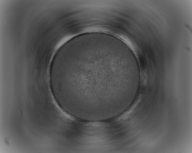 X0000092041045200709121150