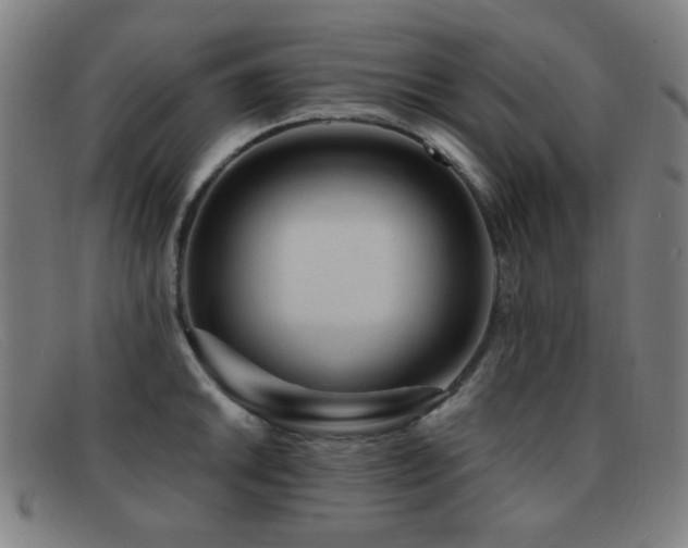 X0000092041046200709121150