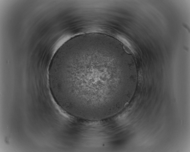 X0000092041047200709121150