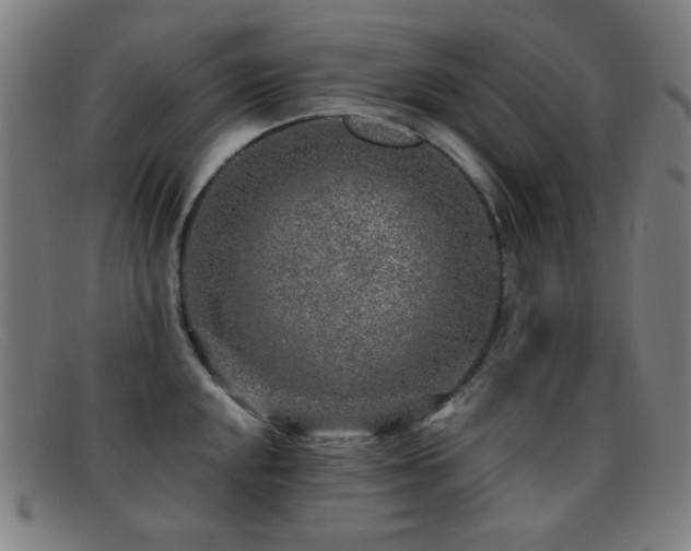 X0000092041048200709121150