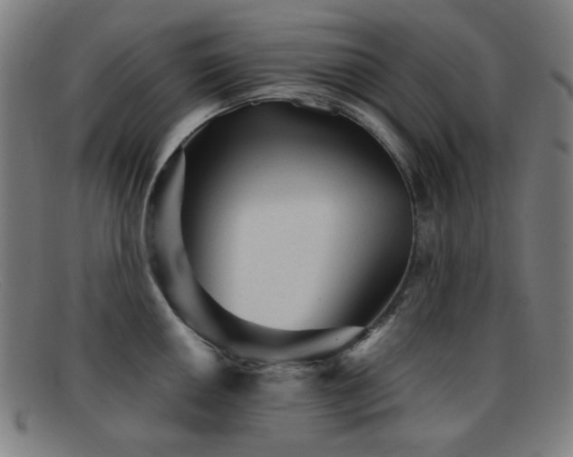 X0000092041050200709121150