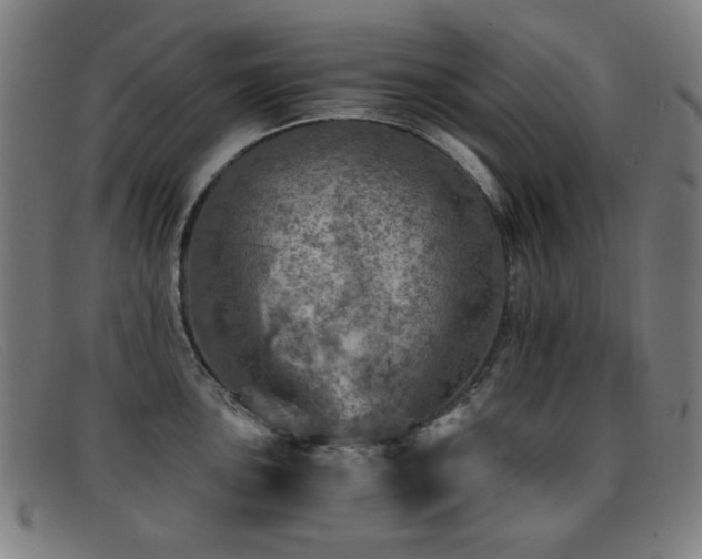 X0000092041051200709121150