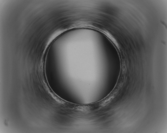 X0000092041053200709121150