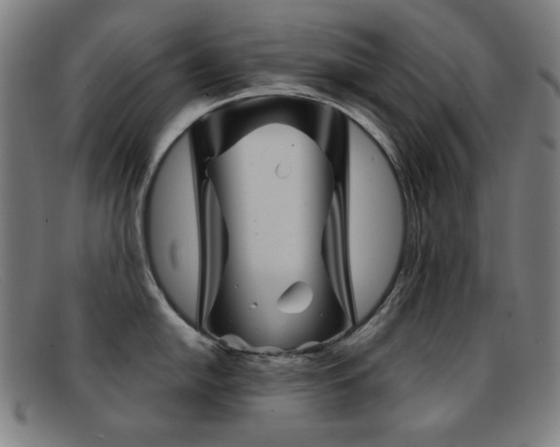 X0000092041054200709121150