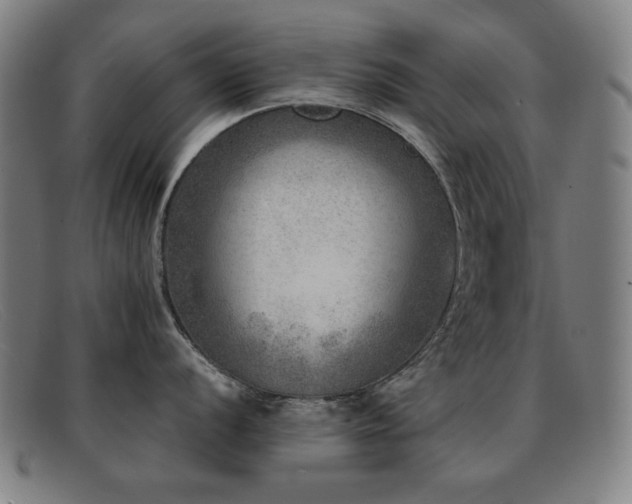 X0000092041056200709121150