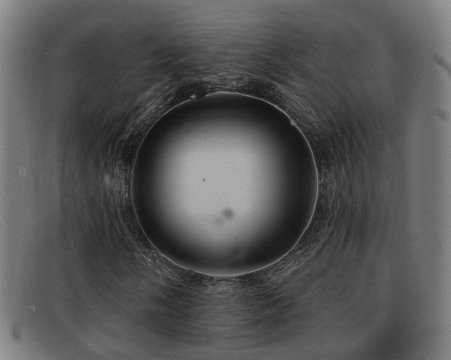 X0000092041058200709121149