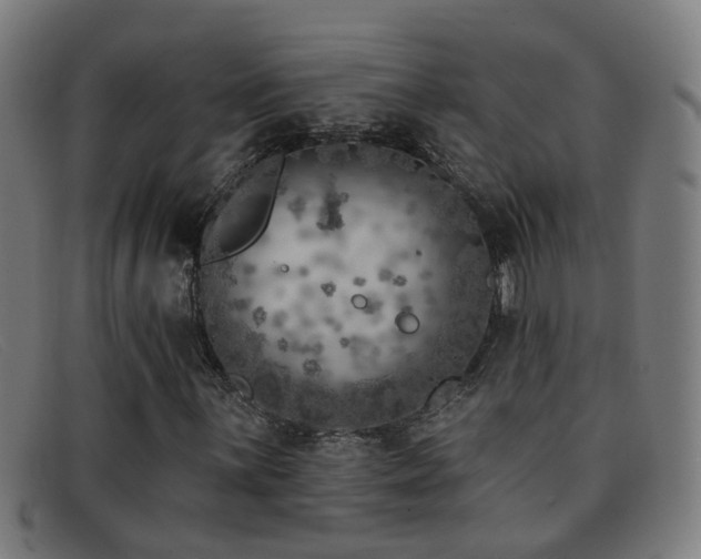 X0000092041059200709121149